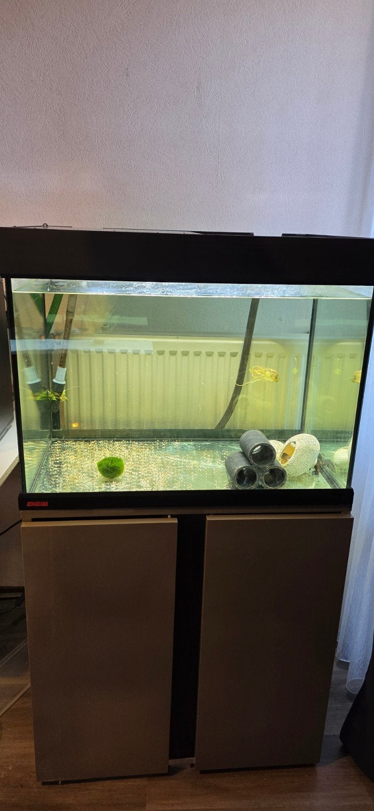 Eheim aquarium ~175L compleet met meubel, Ophalen, Leeg aquarium