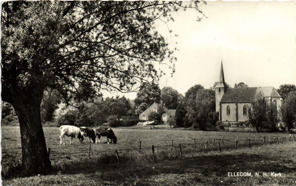 Ellecom, N.H. Kerk - koeien - 196? gelopen, Ophalen of Verzenden, Voor 1920, Gelopen, Friesland