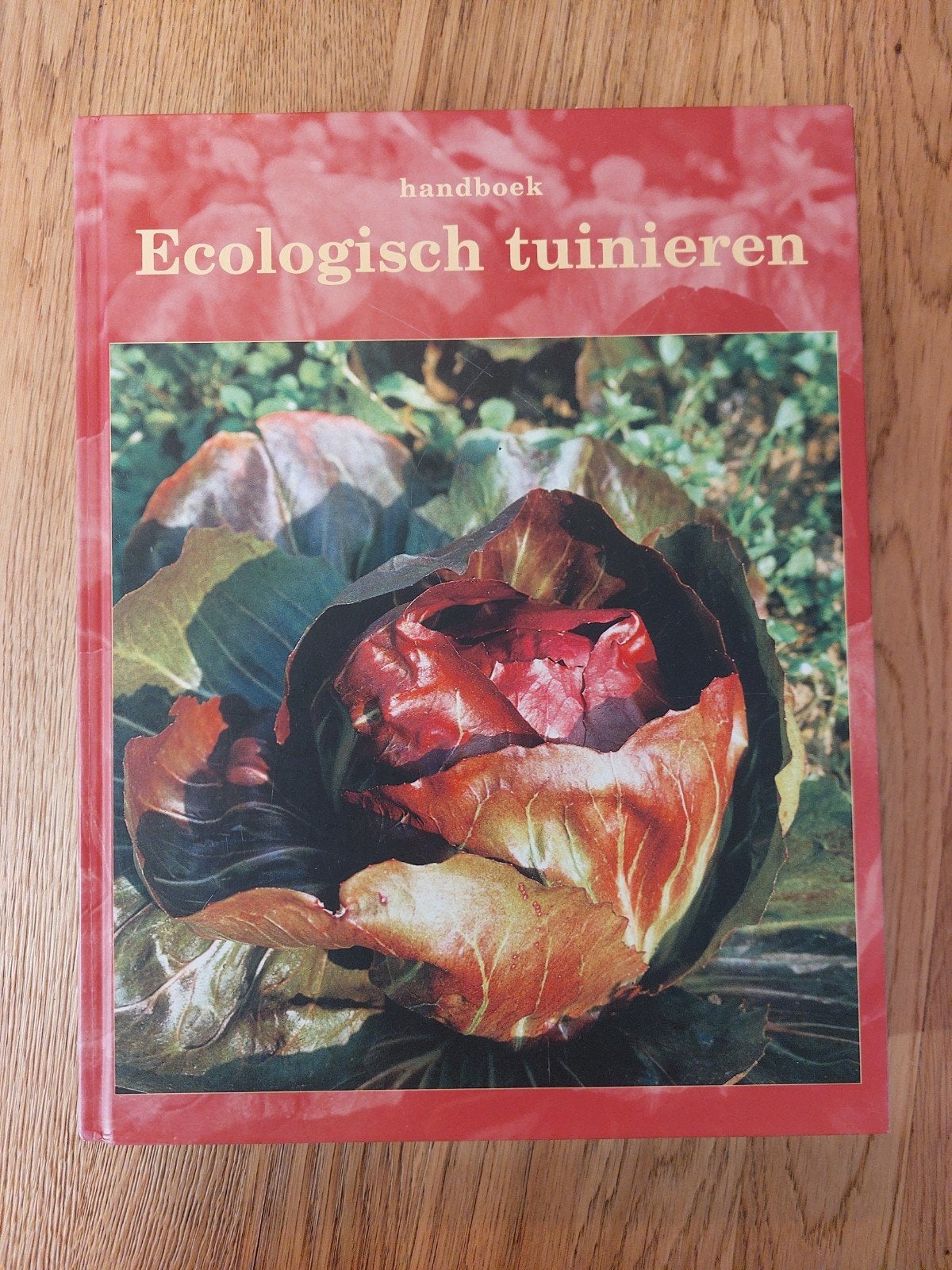 H. van Boxem - De moestuin, H. van Boxem; G. Buysse, Ophalen of Verzenden, Zo goed als nieuw, Interieur en Design