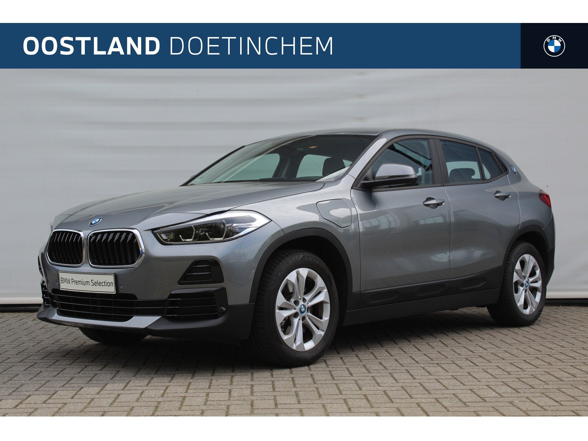 BMW X2 xDrive25e High Executive Automaat / Sportstoelen / Ac