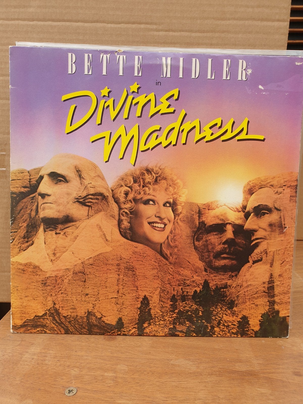 Bette Midler - Divine Madness (1), Ophalen of Verzenden, Gebruikt, 12 inch, LP