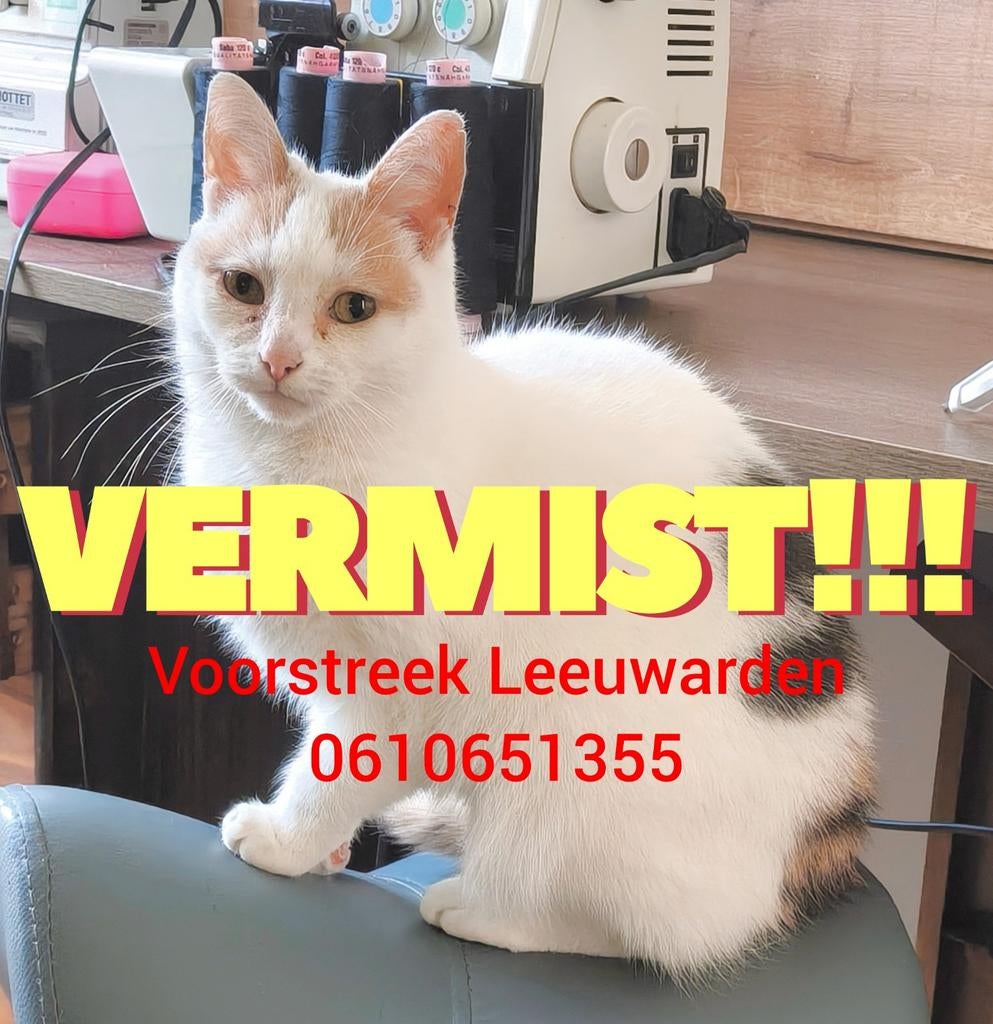 Gratis fiets camper auto hoekbank kast scooter keuken, Diversen, Overige Diversen, Ophalen of Verzenden