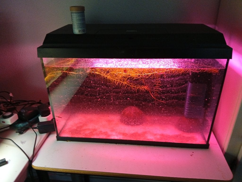 aquarium, Ophalen, Gebruikt, Overige typen, Inclusief vissen