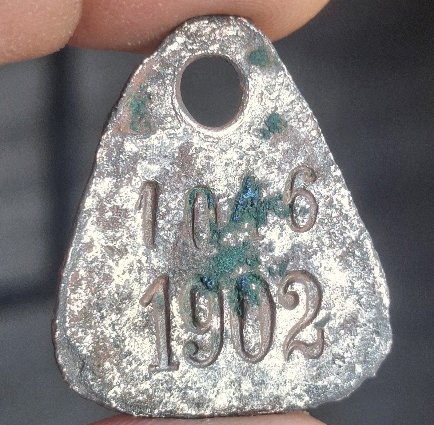 bodemvondst - hondenbelasting - 1902 - RRR !, Ophalen of Verzenden