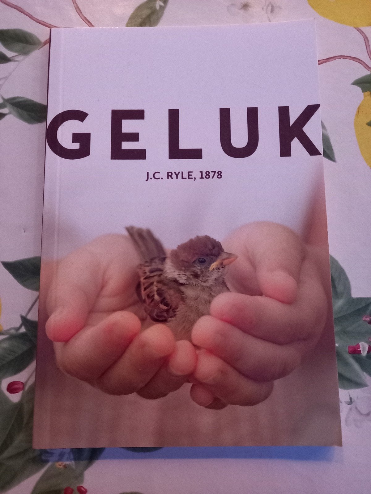 M8 J.C. Ryle - Geluk, J.C. Ryle, Christendom | Protestants, Ophalen of Verzenden, Zo goed als nieuw