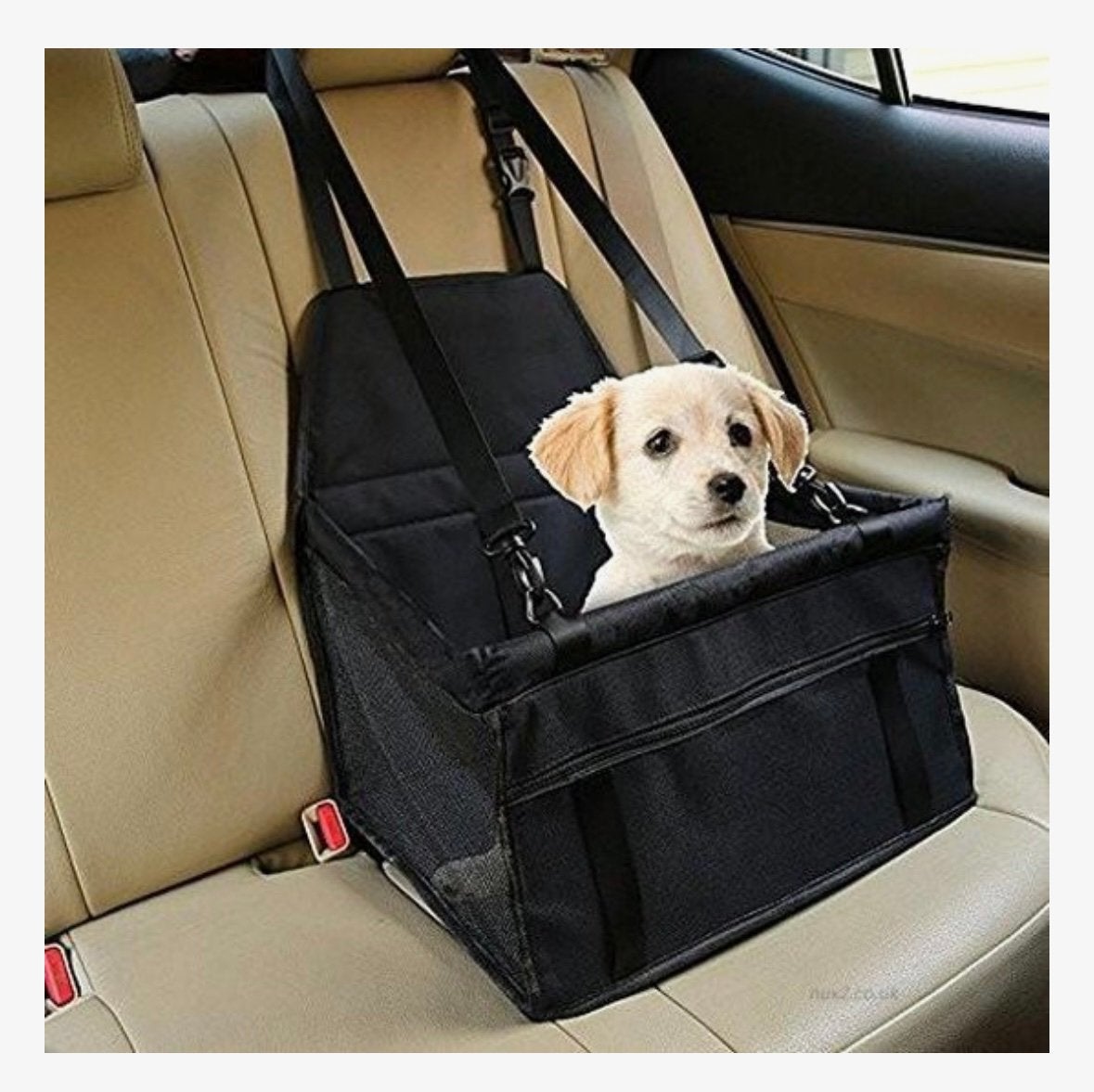 Autostoel puppy / kleine hond (ongebruikt!), Ophalen of Verzenden, Nieuw