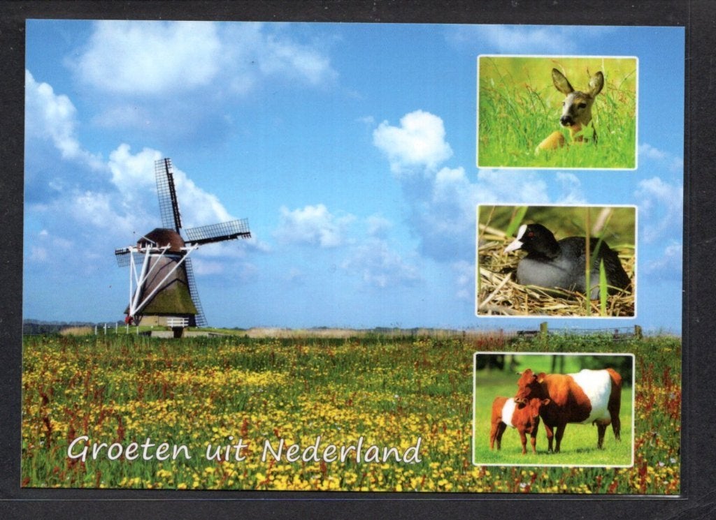 molen; Poldermolen De Hoop te Roodkerk., Verzenden, 1980 tot heden, Ongelopen, Friesland