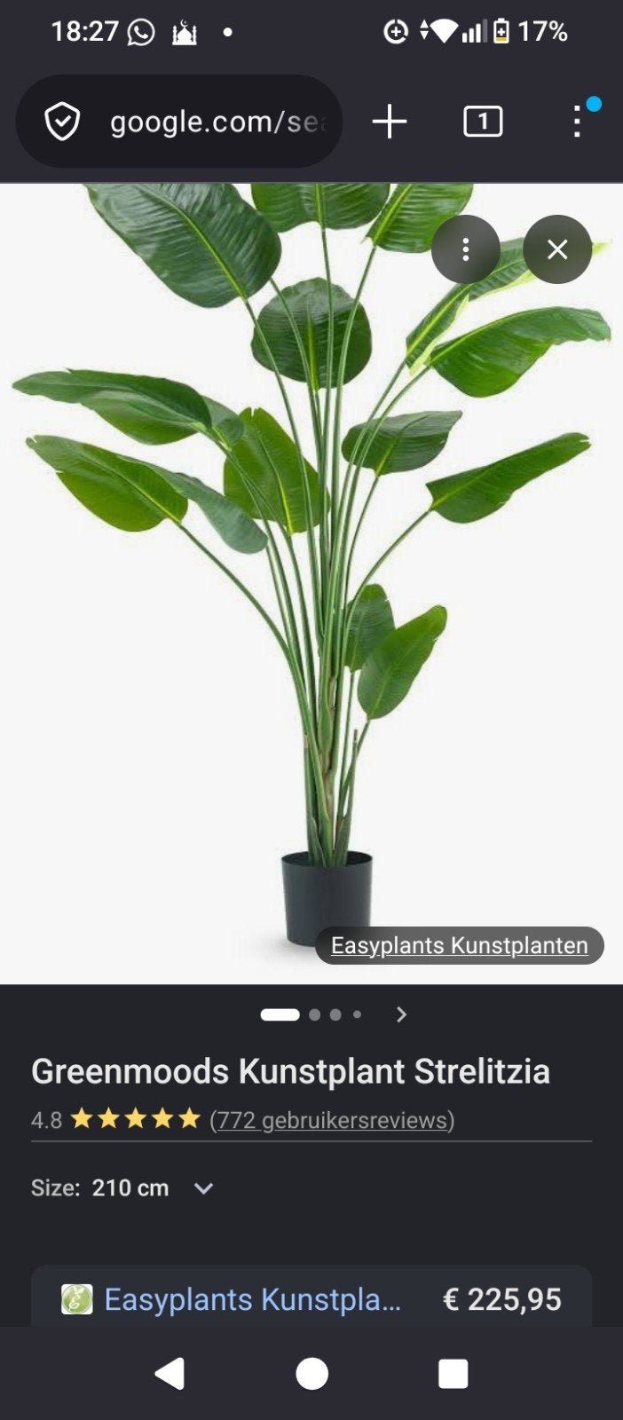 Kunstplant, Ophalen of Verzenden