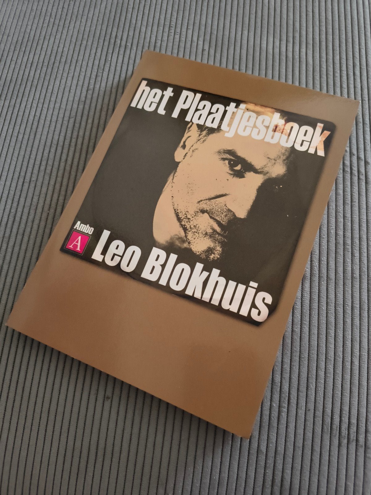 Het Plaatjesboek - Leo Blokhuis (Zo goed als nieuw), Boeken, Muziek, Ophalen of Verzenden, Zo goed als nieuw, Algemeen, Leo Blokhuis