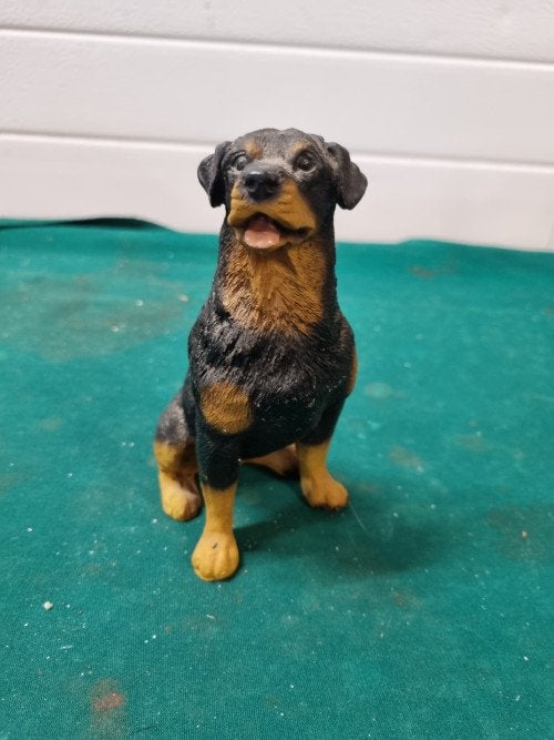beeld rotweiler zittend, Ophalen of Verzenden