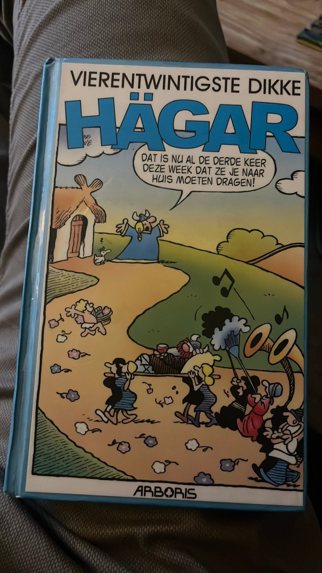 Hägar dikke pocket 24, Eén stripboek, Ophalen of Verzenden, Gelezen