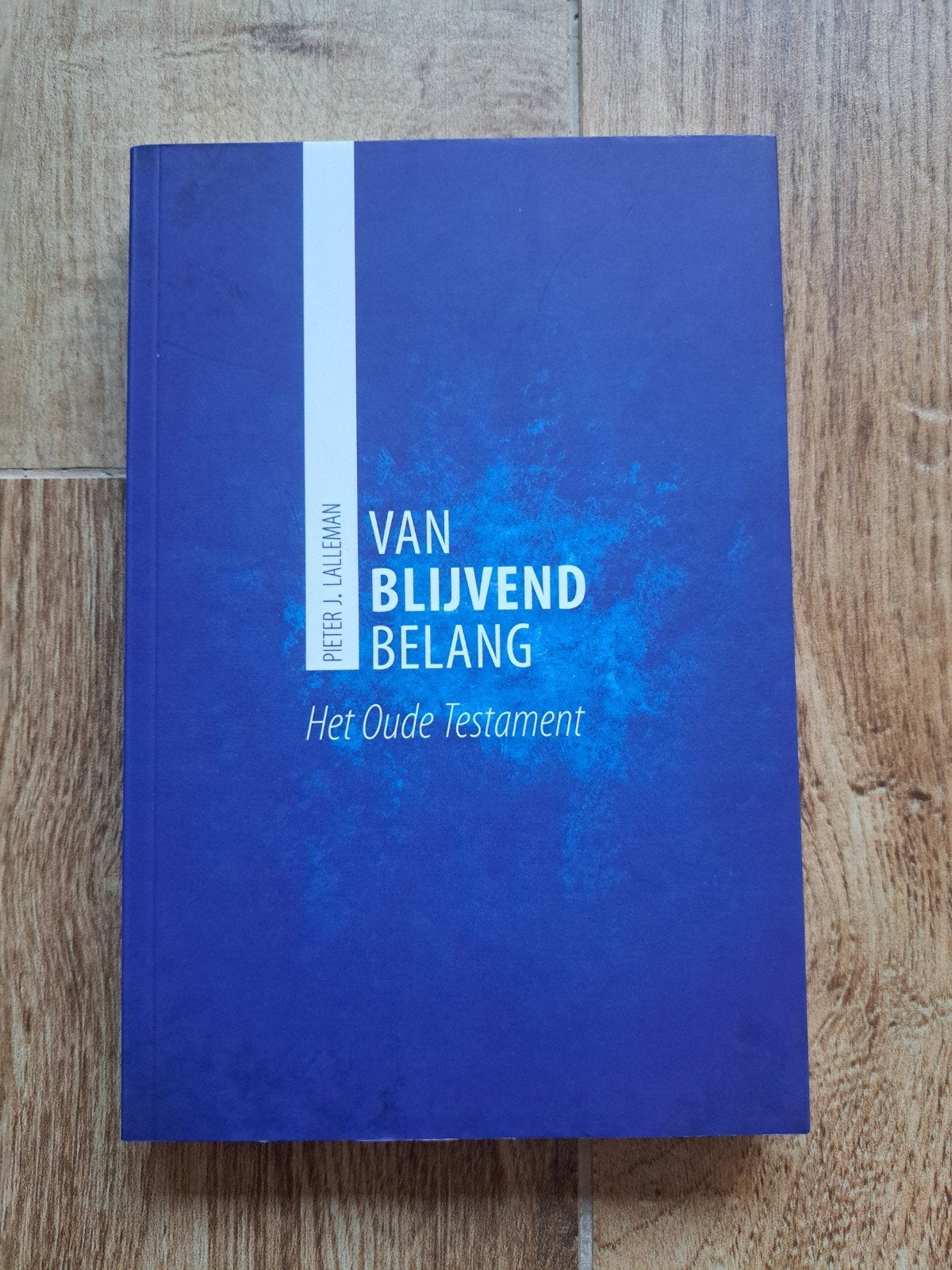 Van Blijvend Belang: Het Oude Testament - Pieter J. Lalleman, Ophalen of Verzenden, Zo goed als nieuw, Pieter J. Lalleman, Christendom | Katholiek