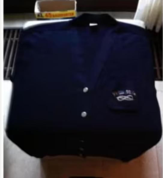 Dames vest Roberto blauw maat XL merk Roberto, Blauw, Maat 46/48 (XL) of groter, Ophalen of Verzenden, Zo goed als nieuw