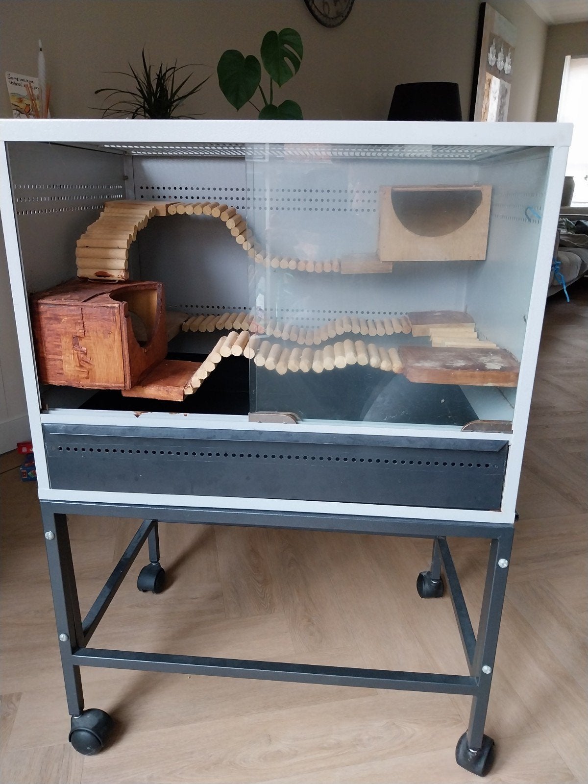 hamsterhok op wielen met toebehoren, Dieren en Toebehoren, Knaagdieren en Konijnen | Hokken en Kooien, Ophalen, Gebruikt, 60 tot 90 cm