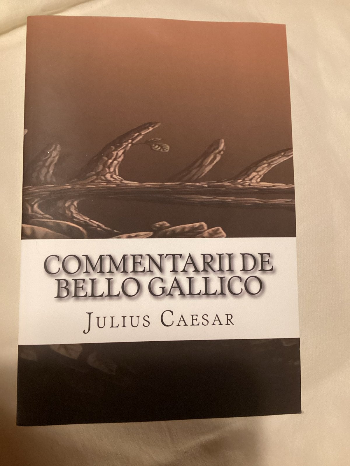 Commentarii de Bello Gallico - Julius Caesar, Boeken, Ophalen of Verzenden, Zo goed als nieuw, Europa overig