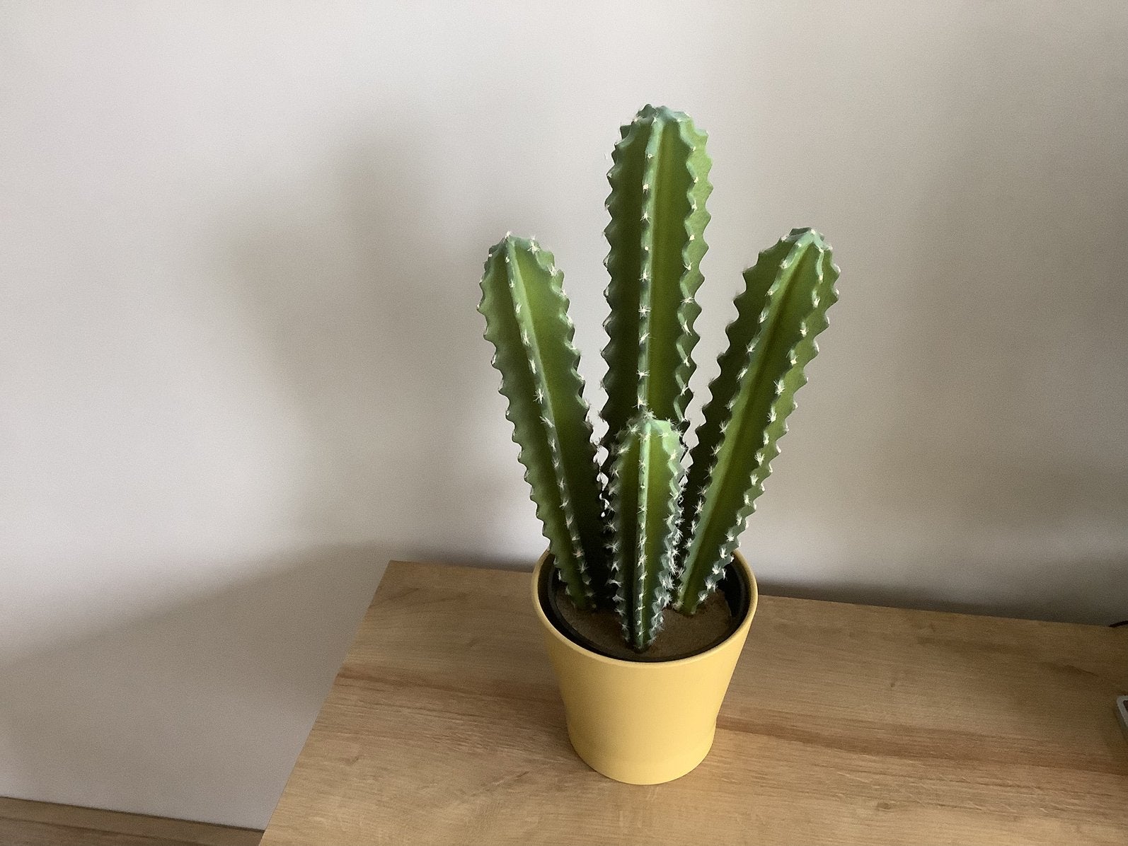 Kunst cactus met gele bloempot, Ophalen of Verzenden, Cactus, Volledige schaduw, Minder dan 100 cm