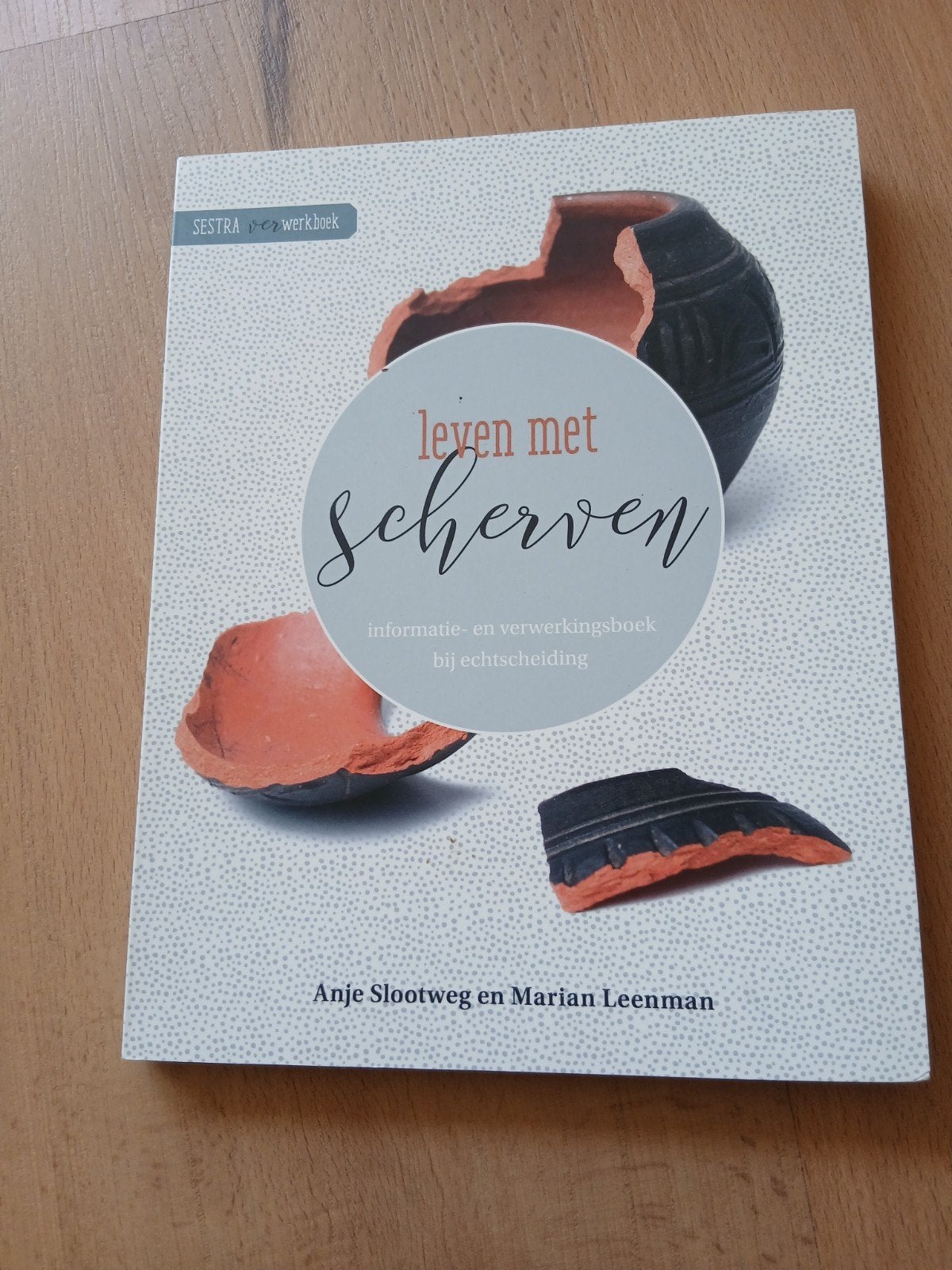 leven met scherven, Ophalen of Verzenden, Gelezen, Mode algemeen