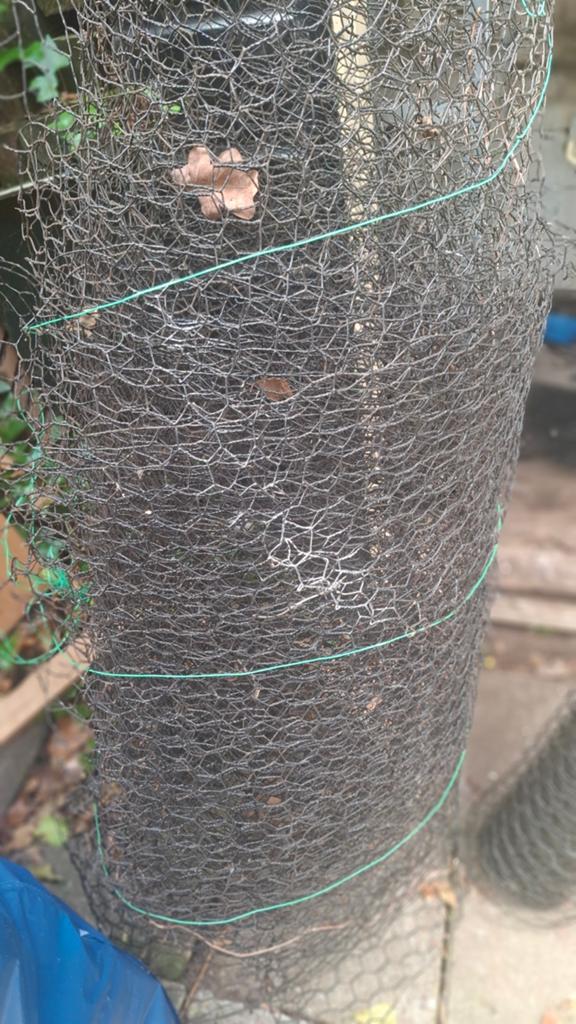 Geplastificeerd kippengaas zwart (nieuw en gebruikt), Tuin en Terras, Ophalen of Verzenden, Nieuw, Gaas
