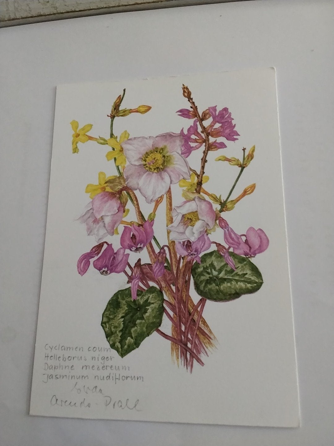 Vintage Ansichtkaart Bloemen Boeket Gerda Arends-Prahl, Ophalen of Verzenden, 1960 tot 1980, Ongelopen
