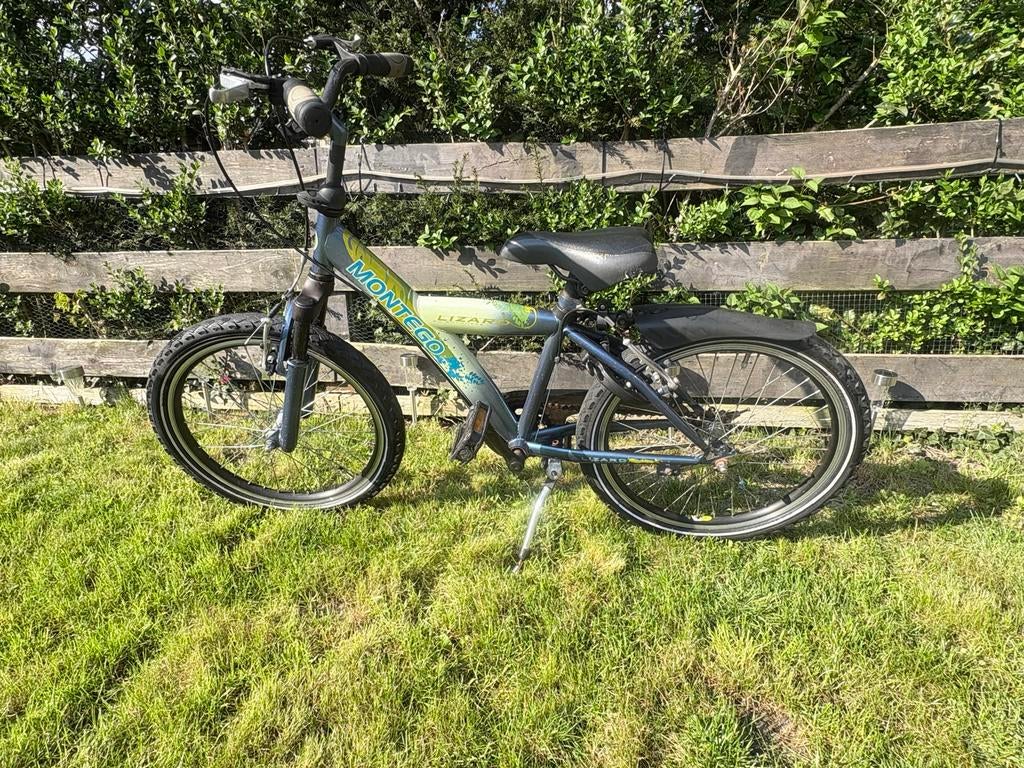 Montego Lizard kinderfiets 20 inch - Blauw/Groen, Ophalen of Verzenden, Gebruikt, 20 inch of meer