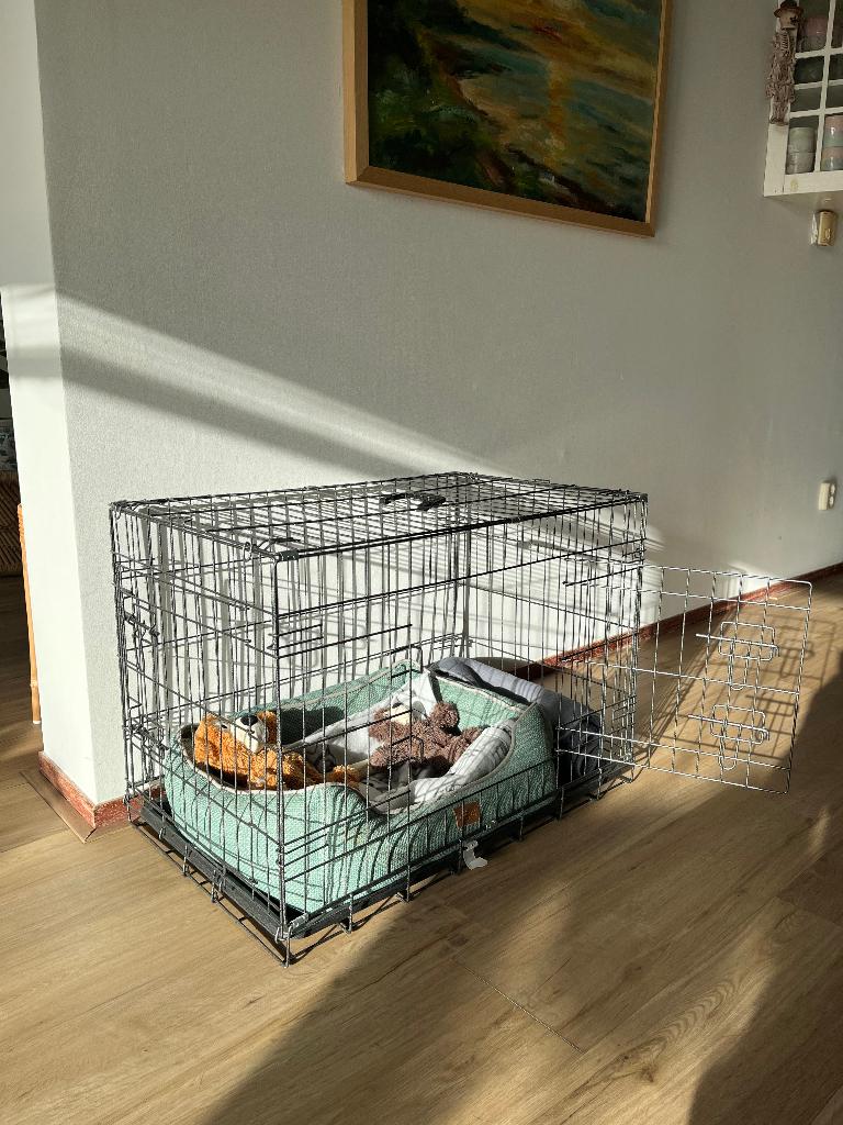Dog crate or Nina Ottosson dog puzzles, Ophalen, Zo goed als nieuw