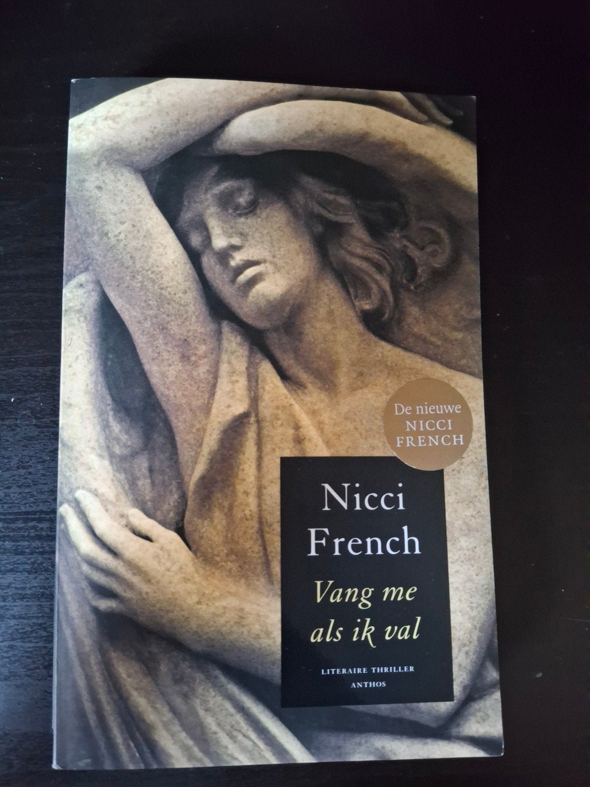 Nicci French - Vang me als ik val (Literaire thriller), Ophalen of Verzenden, Gelezen, Nicci French, Europa overig