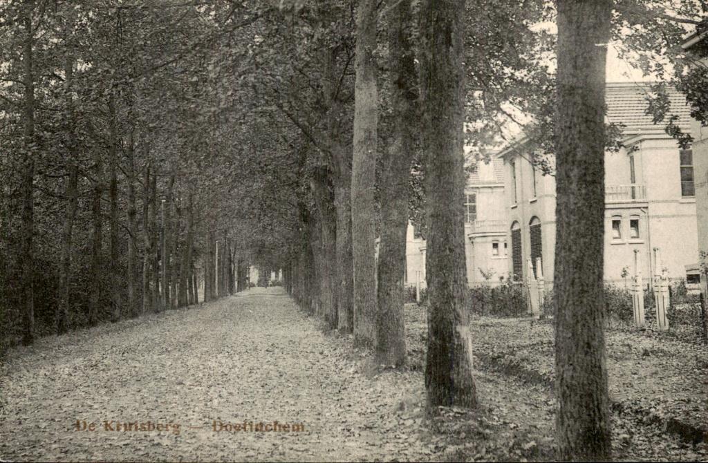 Doetinchem - De Kruisberg - zicht, Ophalen of Verzenden, Voor 1920, Ongelopen, Gelderland