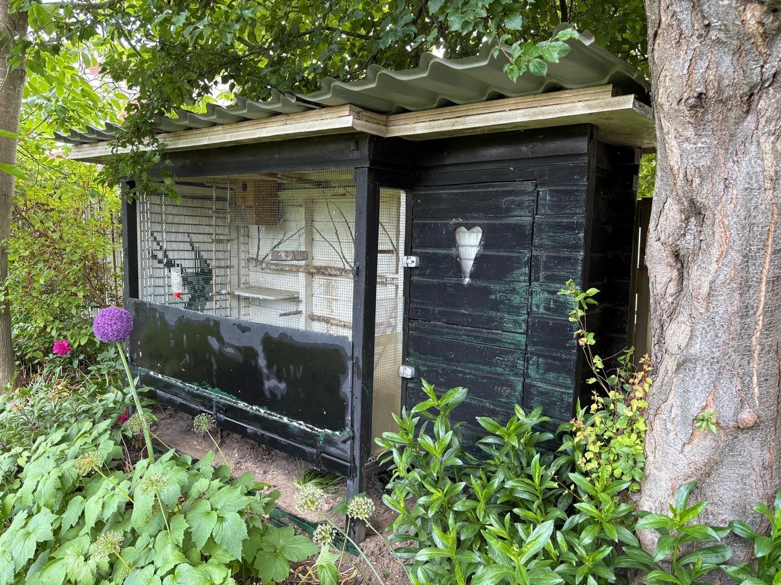 Multifunctionele volière, Dieren en Toebehoren, Vogels | Hokken en Kooien, Ophalen, Hout, Volière