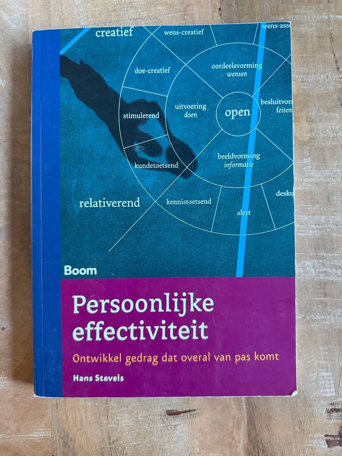 H. Steffels - Persoonlijke effectiviteit, H. Steffels, Sociale wetenschap, Ophalen of Verzenden, Zo goed als nieuw
