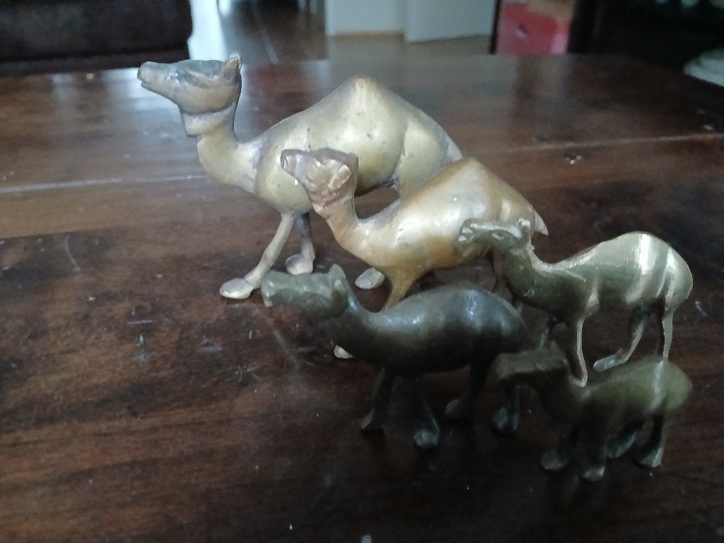 5 messing kamelen, Ophalen of Verzenden, Gebruikt, Dier