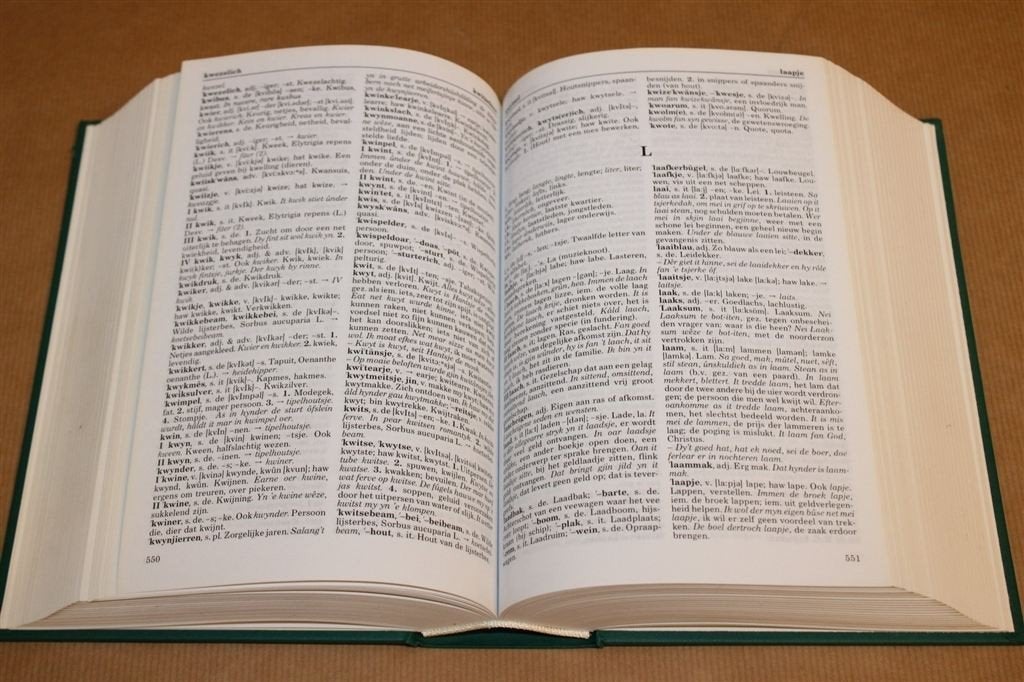 Frysk Wurdboek — Fries-Nederlands Naslagwerk Dik Boek, Boeken, Ophalen of Verzenden, Gelezen, Van Dale, Nederlands