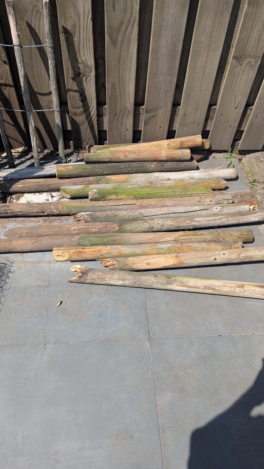Gebruikte houten palen, Ophalen, Gebruikt, 180 tot 250 cm, Palen