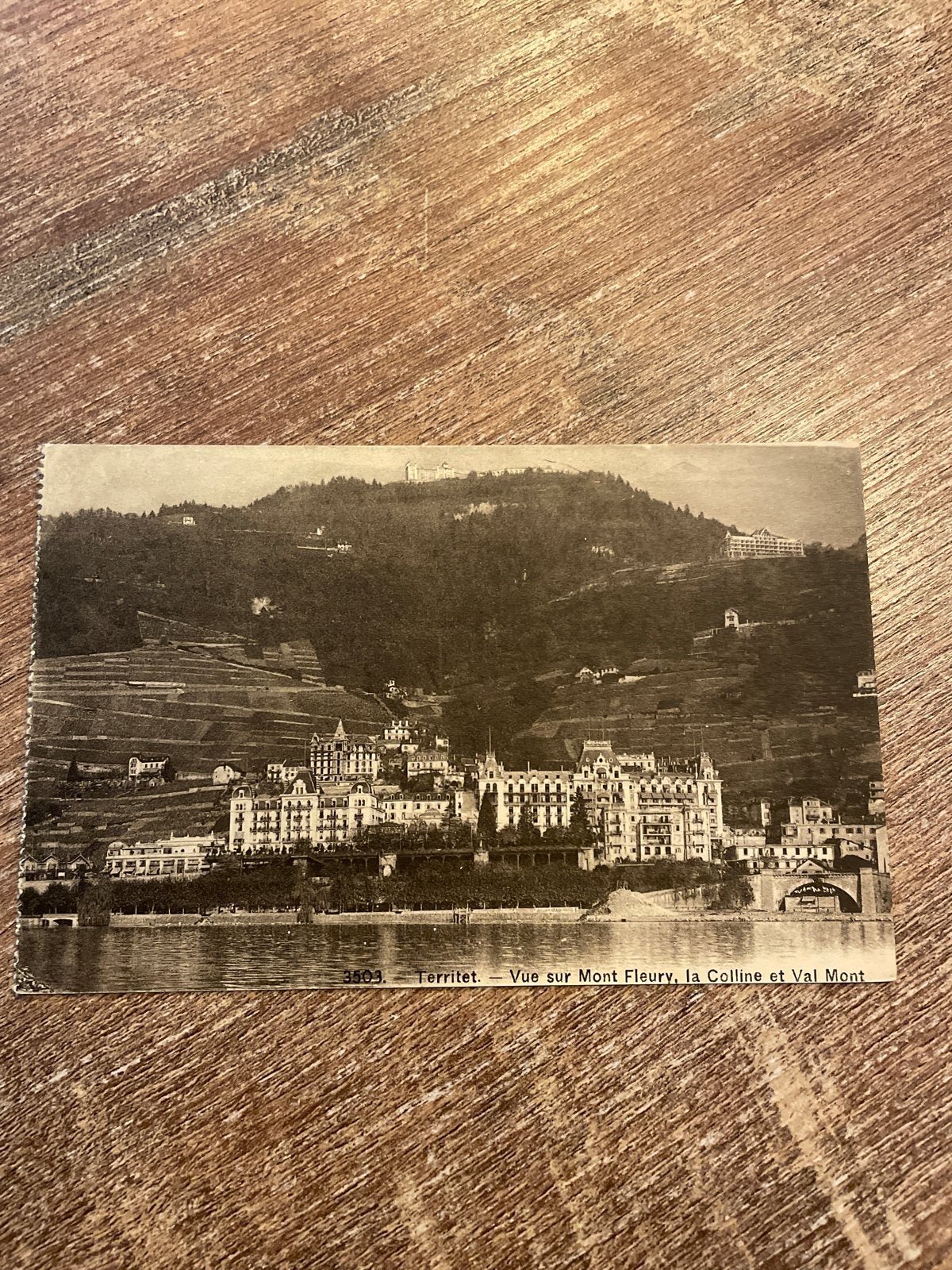 Oude Ansichtkaart Territet - VUE SUR MONT FLEURY, Ophalen of Verzenden, Voor 1920, Ongelopen
