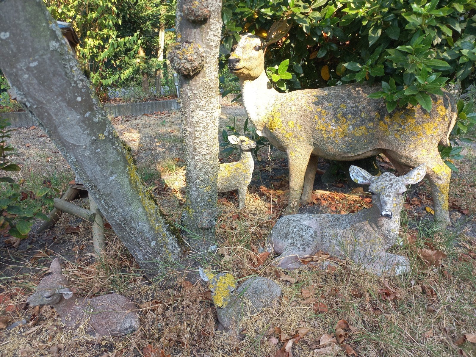 herten familie tuinbeelden, Tuin en Terras, Ophalen, Gebruikt, Overige materialen, Dierenbeeld