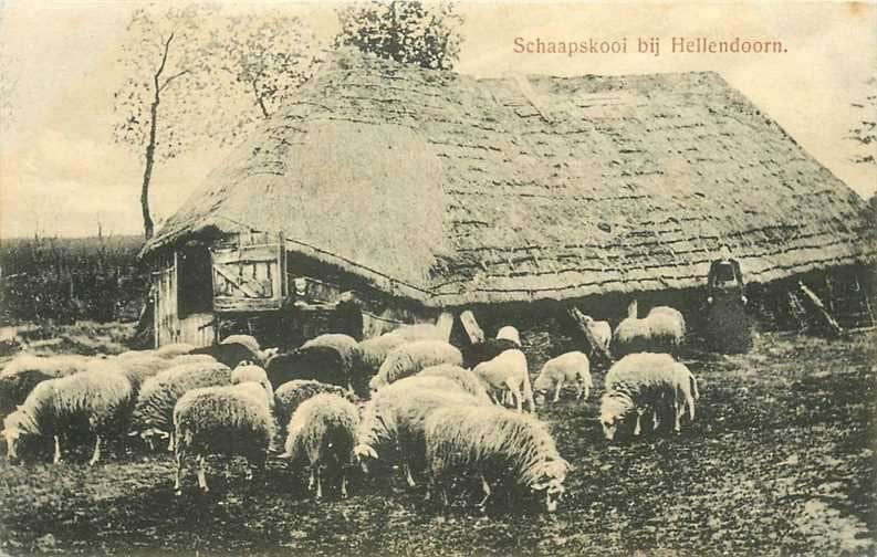 380-726-029 Hellendoorn Schaapskooi, Verzenden, Voor 1920, Overijssel