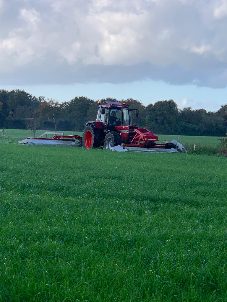 Grote balen kuilgras te koop, Dieren en Toebehoren, Ophalen, Vee