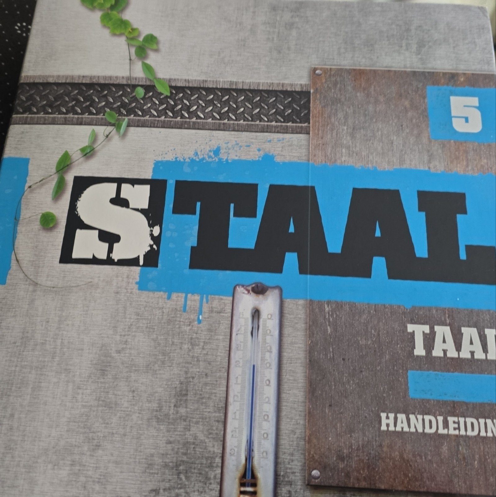 Staal Taal Handleiding Groep 5, Ophalen of Verzenden