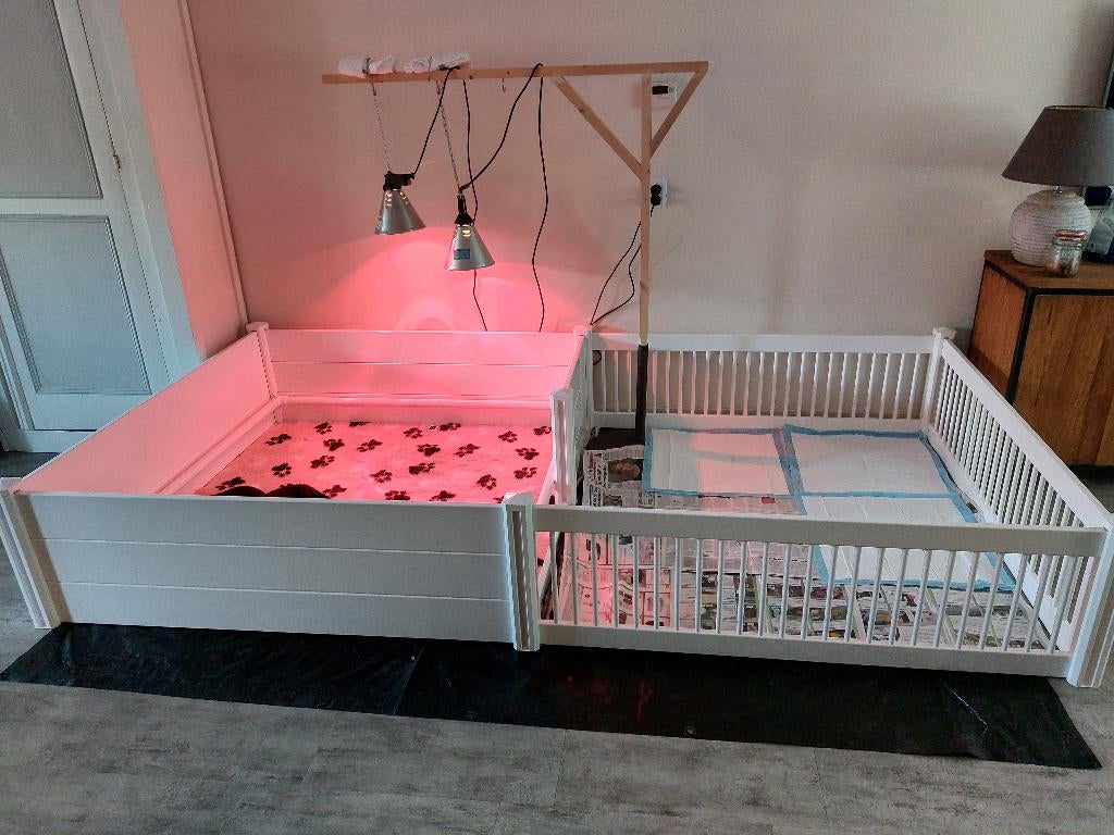 Te huur XXL werpkist met uitloopren + toebehoren + buitenren, Dieren en Toebehoren, Hondenhokken, Ophalen, Hondenkennel, 110 cm of meer