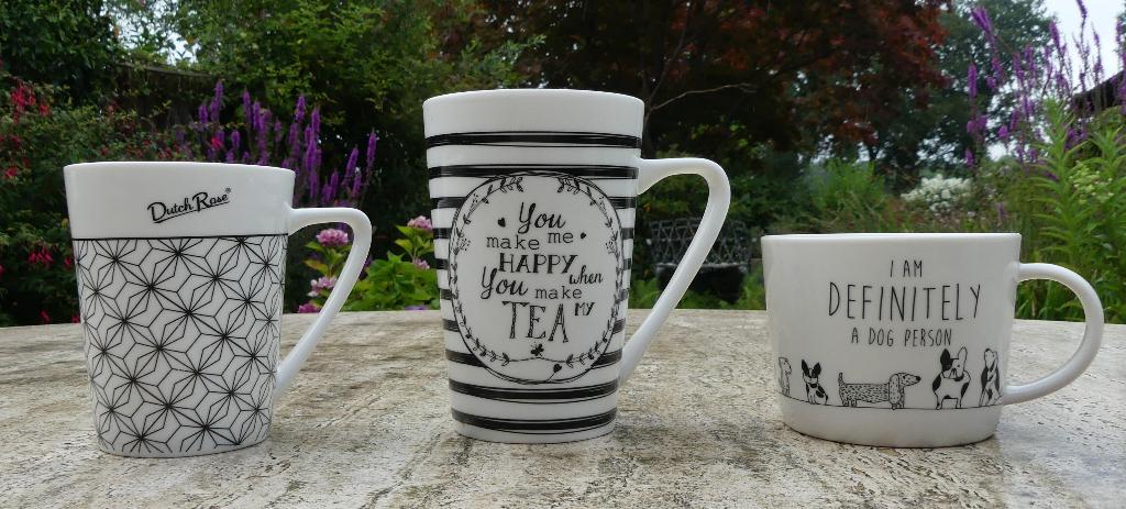 DUTCH ROSE Mok I AM A DOG PERSON Take Your Mug And Unplugg, Nieuw, Ophalen of Verzenden, Wedgwood, Kop(pen) en/of Schotel(s)