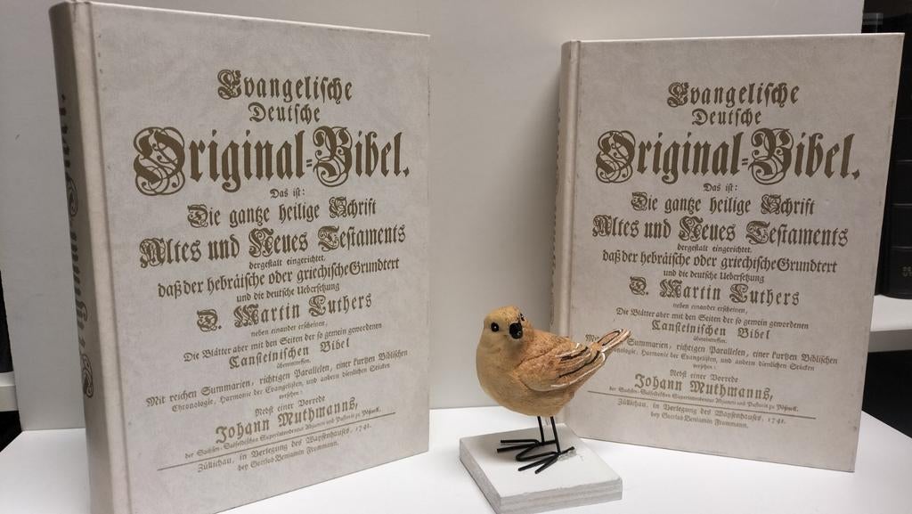 Bibel;  Evangelische Deutsche Original Bible, Ophalen of Verzenden, Gelezen, Christendom | Protestants
