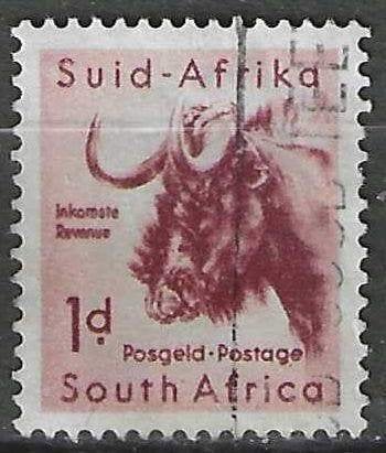 Zuid-Afrika 1954 - Yvert 202 - Gnoe - 1 p. (ST), Verzenden, Zuid-Afrika, Gestempeld