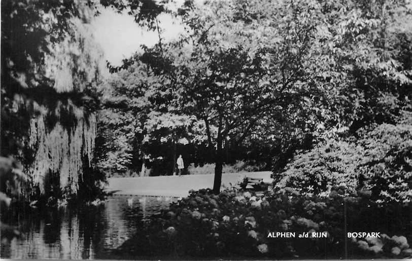 380-167-031 Alphen aan de Rijn Bospark, Verzenden, Voor 1920, Zuid-Holland