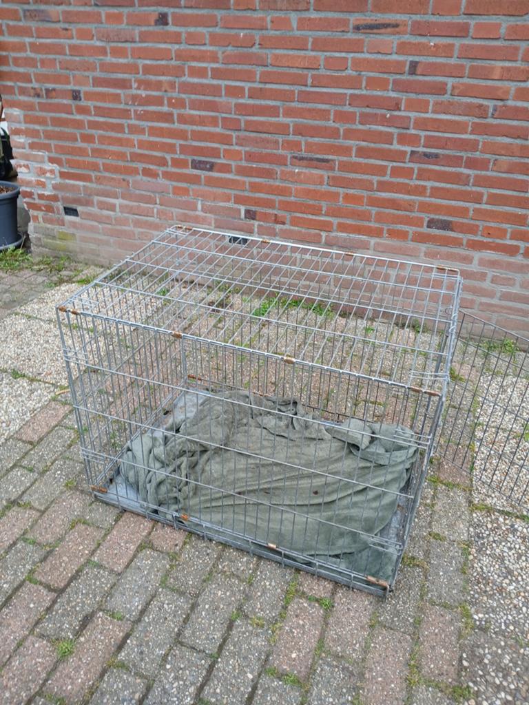 Hondenbench te koop ( exclusief hond  ), Ophalen, Zo goed als nieuw