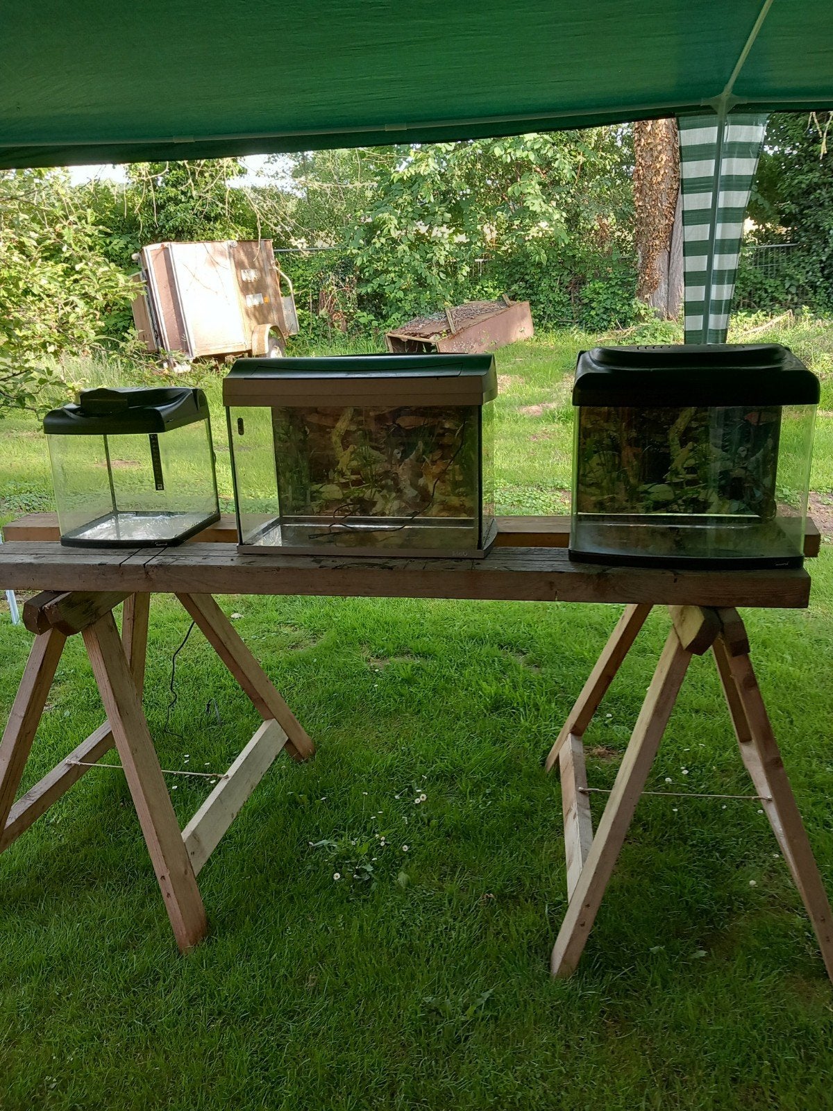Aangeboden aquariums, Ophalen, Gebruikt, Leeg aquarium