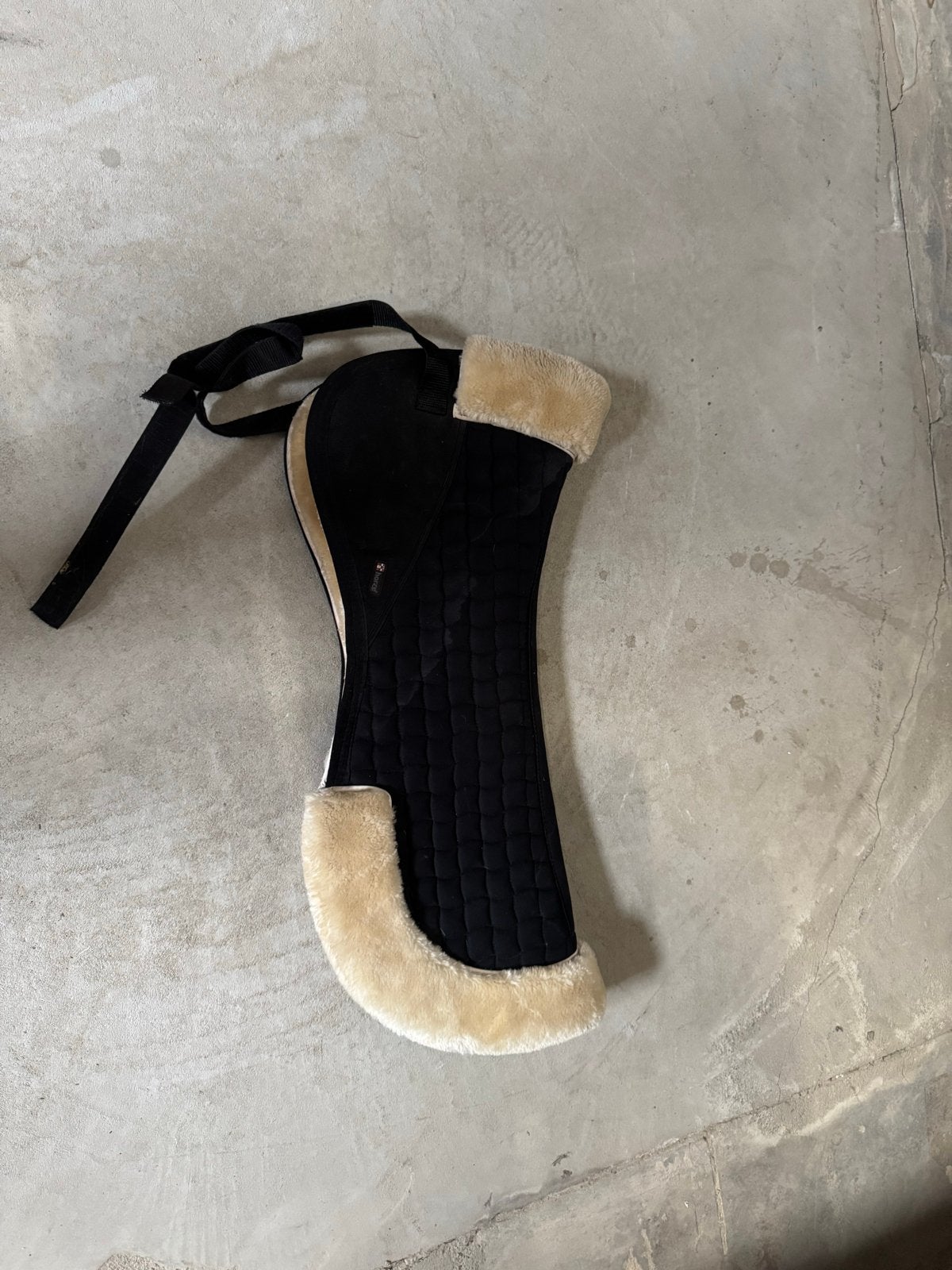 Zadelbontje te koop!, Ophalen of Verzenden, Zo goed als nieuw, Dressuur