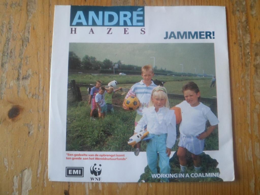 Andre Hazes, Ophalen of Verzenden, Gebruikt, Nederlandstalig