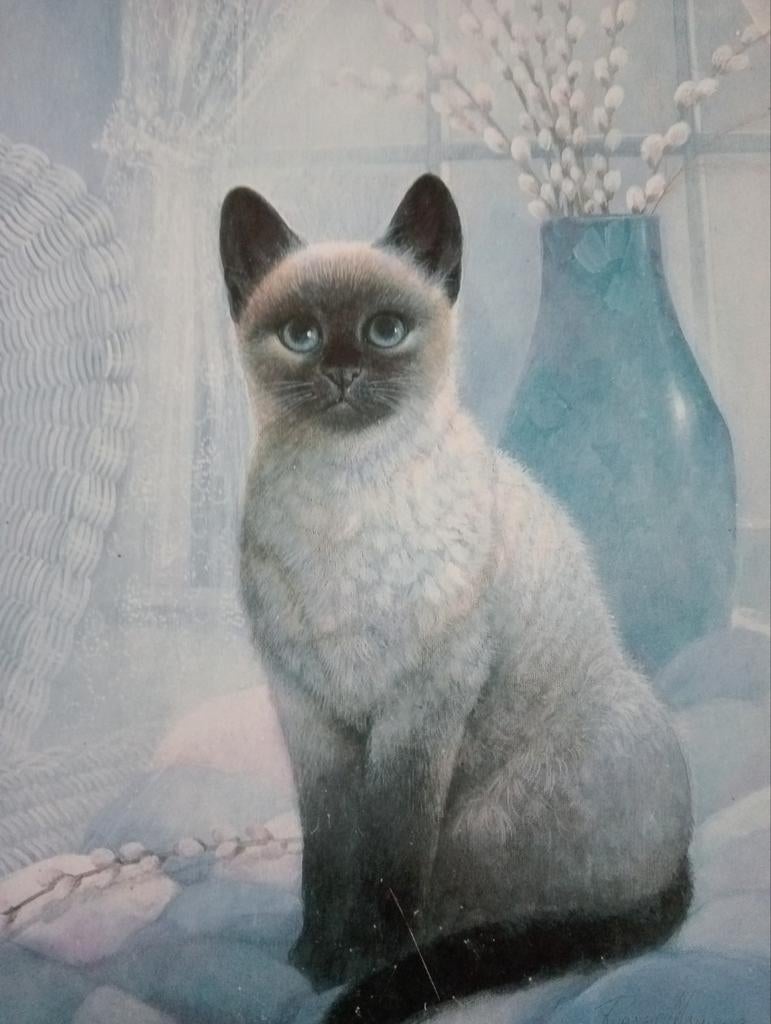 Print Kat Poes  Siamees, Minder dan 50 cm, ., Ophalen of Verzenden, Print