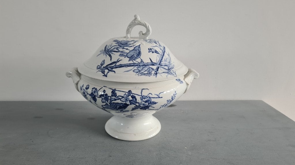 Dekschaal, Ophalen of Verzenden