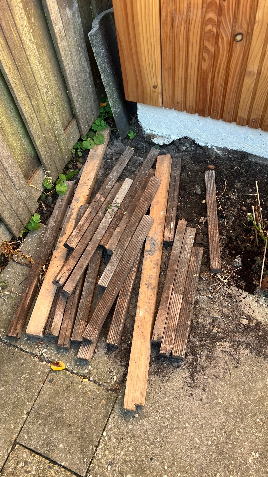 Ongeveer 18 houten piketpaaltjes 30-40cm, Doe-het-zelf en Verbouw, Hout en Planken, Minder dan 25 mm, Ophalen of Verzenden, Zo goed als nieuw