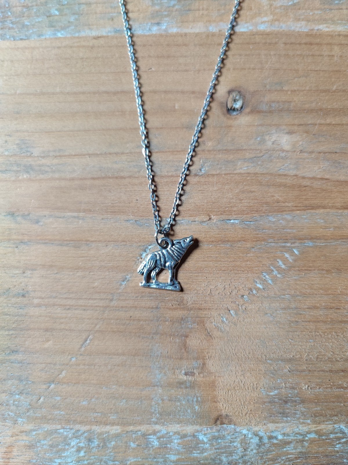 Nieuwe zilverkleurige ketting met wolf hanger, Verzenden